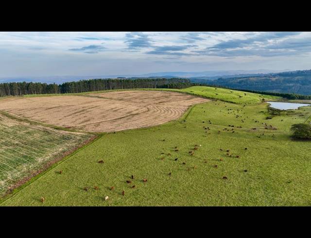 LAND FOR SALE IN MOUNT VERDE